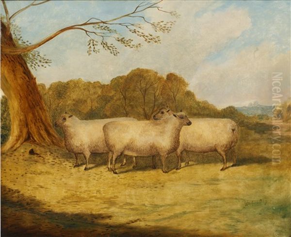 Sheep Before A Parkland Setting Oil Painting by Richard Whitford Jr.