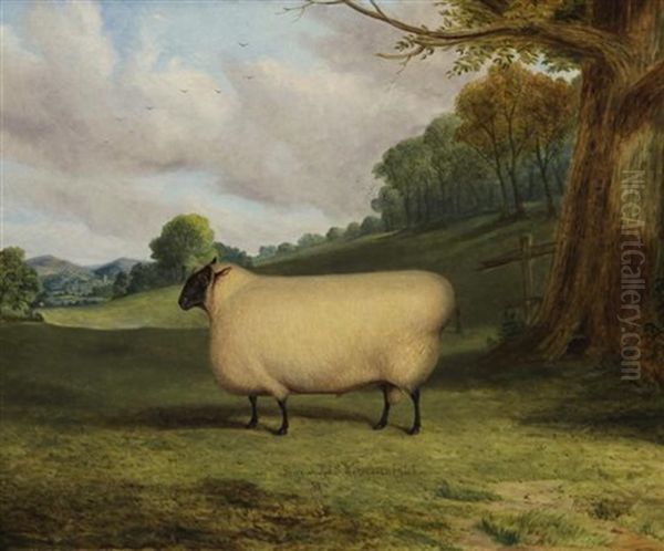 A Prize Sheep Oil Painting by Richard Whitford Jr.