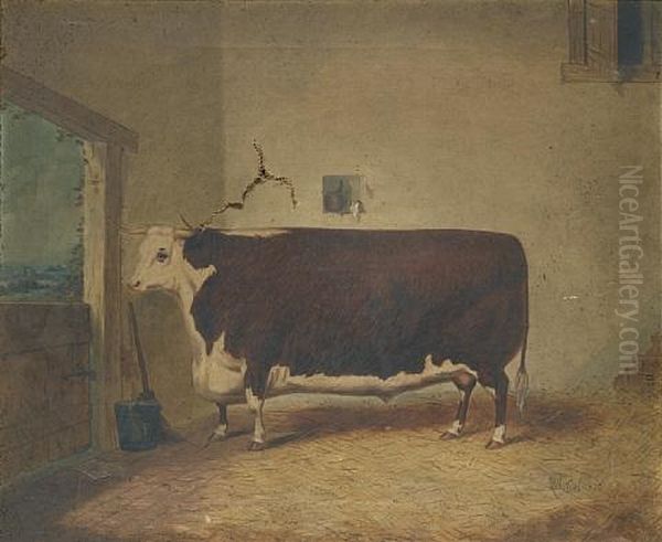 A Prize Cow In A Barn by Richard Whitford Jr.