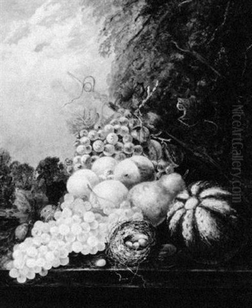 Still Life With Fruit On A Ledge Oil Painting by Thomas Whittle the Elder