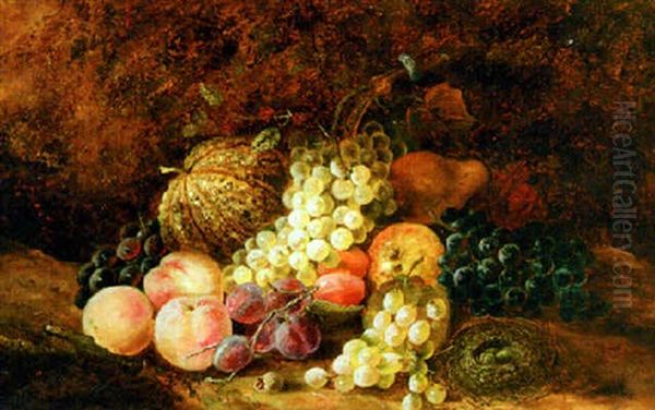 Still Life With Fruit And Bird's Nest Oil Painting by Thomas Whittle the Elder