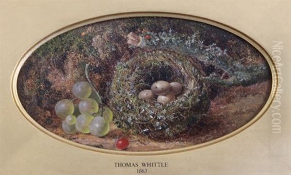 Chaffinch Nest And Grapes Oil Painting by Thomas Whittle the Younger