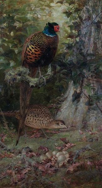 Pheasants, 1884 Oil Painting by Charles Whymper