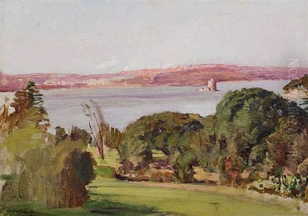 Sydney Harbour From The Botanic Gardens Oil Painting by Duncan Mcgregor Whyte