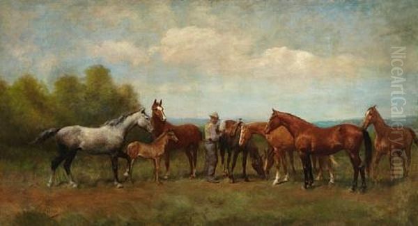 Among The Herd Oil Painting by Paul Giovanni Wickson