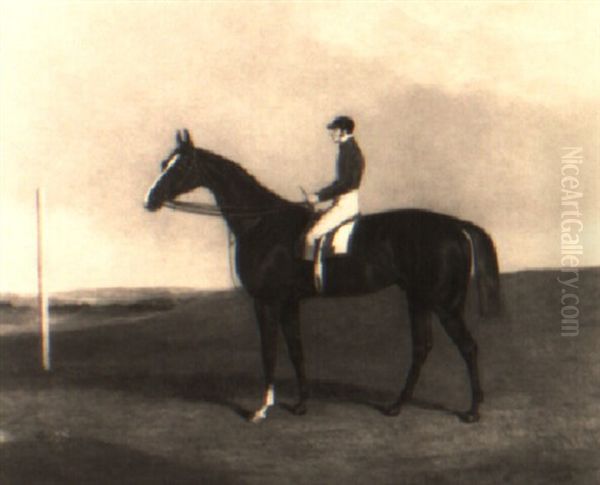 A Racehorse With Jockey Up Oil Painting by Richard Dodd Widdas