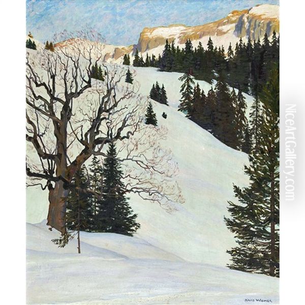 Winterliche Berglandschaft Oil Painting by Hans Widmer