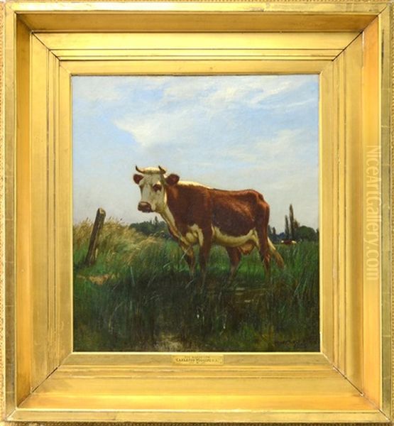 Cow In The Marshes Oil Painting by Carleton Wiggins