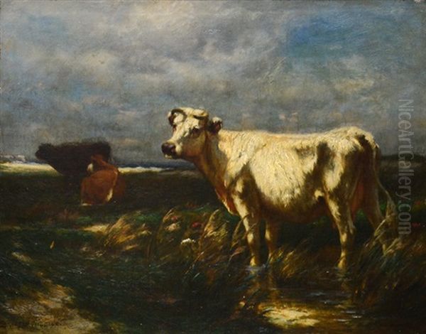 Cows By The Sea (probably Lyme, Ct Marshes) Oil Painting by Carleton Wiggins