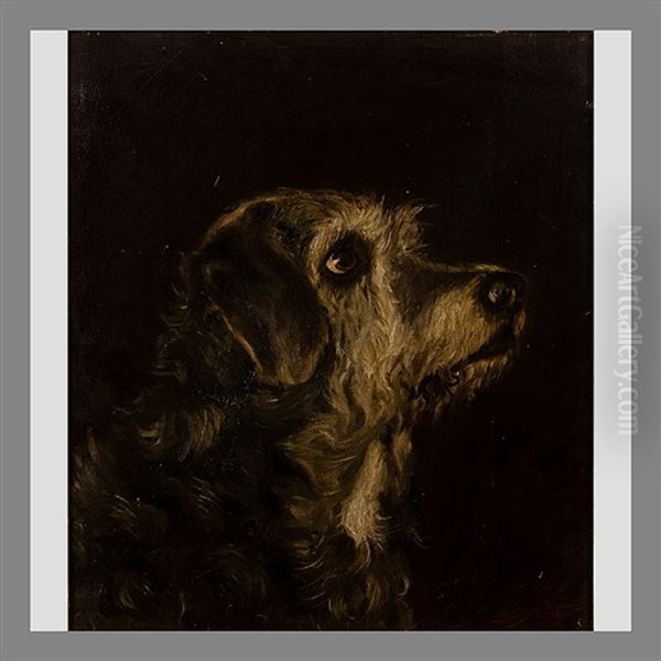 Dog's Head, Kekku Oil Painting by Maria Wiik