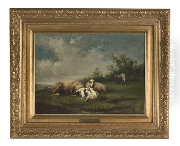 The Prize Sheep Oil Painting by Anthonie Jacobus van Wijngaerdt