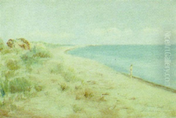 Nogen Mand Ved Skagen Strand Oil Painting by Johan Peter Von Wildenradt