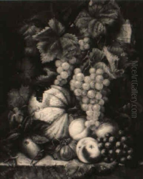 Still Life With Fruit On A Ledge by Rudolphine Swanida Wildrik