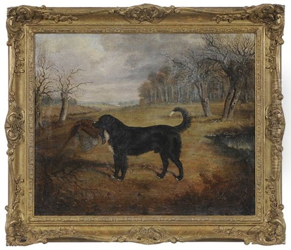 Dog In A Clearing With A Pheasant Oil Painting by John Gilbert Wilkinson