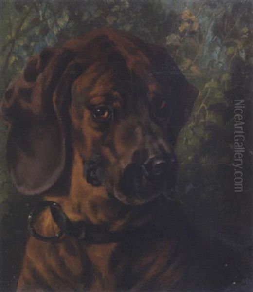 Hundeportrait Eines Dackels Oil Painting by Clara (Boettcher) von Wille