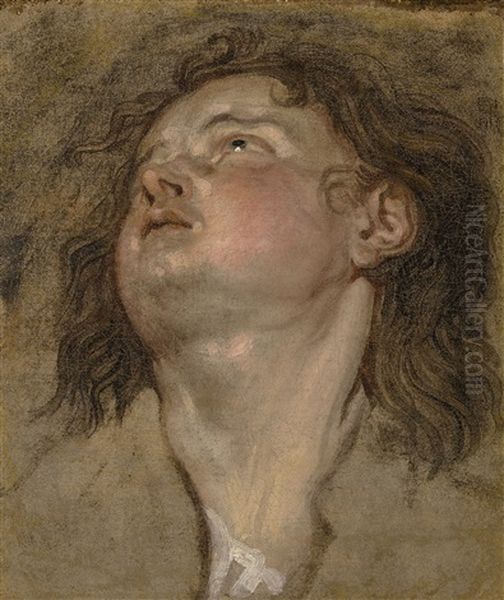 Study Of The Head Of A Young Man Looking Up Oil Painting by Thomas (Bosschaert) Willeborts