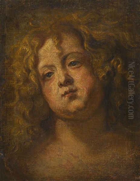 Head Study Of A Boy Oil Painting by Thomas (Bosschaert) Willeborts