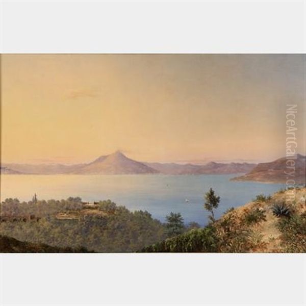 View Of Naples And Vesuvius From Capri Oil Painting by Abigail Osgood Williams