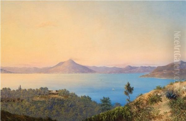 Bay Of Naples From Capri Oil Painting by Abigail Osgood Williams