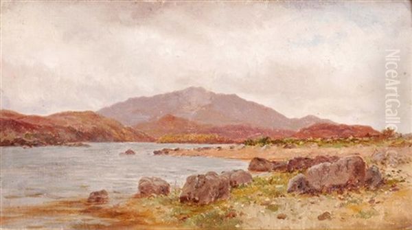 Lough Conn, County Mayo by Alexander Williams