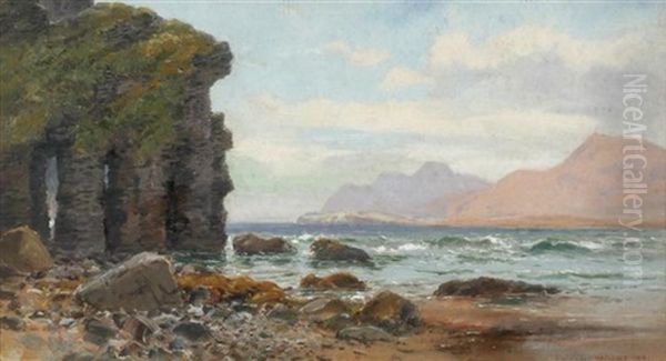 Cliffs By The Coast Oil Painting by Alexander Williams