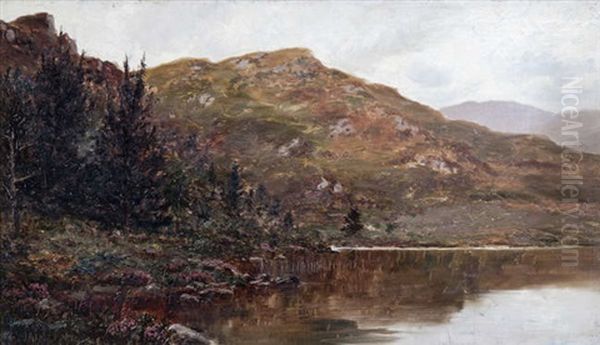 Kerry Lake And Mountain Landscape by Alexander Williams