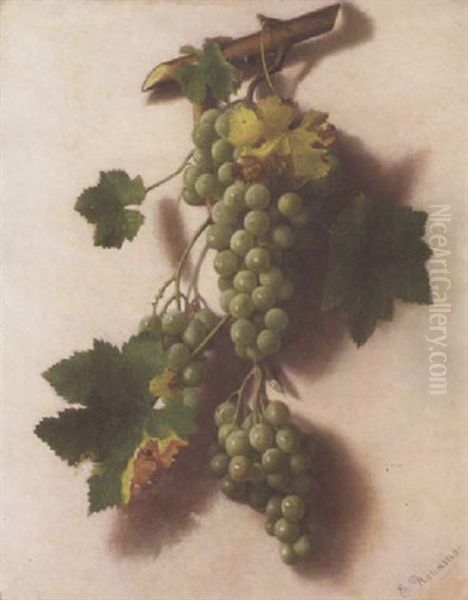 A Still Life Of Hanging Grapes Oil Painting by Elizabeth Williams