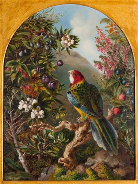 A Native Bird With Mountain Berries And Native Flora, Backed By Mount Wellington Oil Painting by Florence Williams