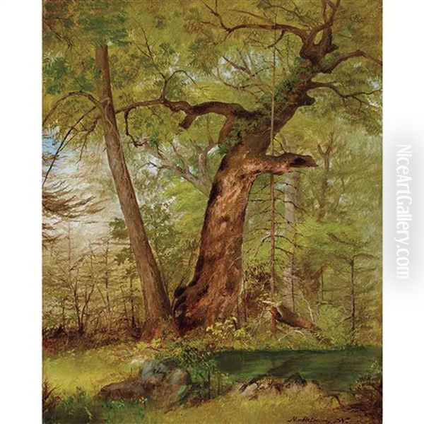 Landscape In Marbletown, Ulster County, New York Oil Painting by John Williamson