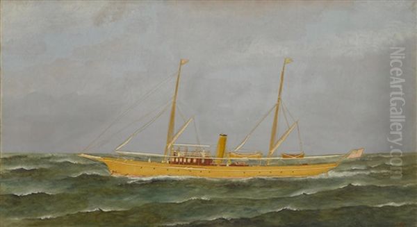 The Steam Yacht Neaira Of The American Yacht Club Oil Painting by Thomas H. Willis