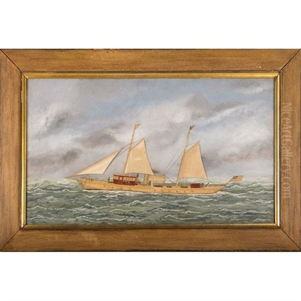 Steam-sail Racing Yacht Mayita Oil Painting by Thomas H. Willis