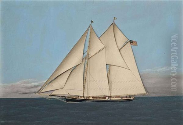 The Celebrated American Schooner Magic Under Full Sail Oil Painting by Thomas H. Willis