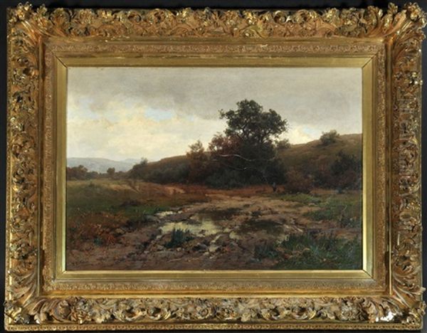 Moorlandschaft Bei Gewitterstimmung Oil Painting by Josef Willroider