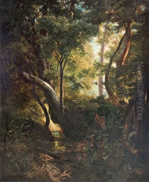 Romantic Forest Clearing Oil Painting by Ludwig Willroider