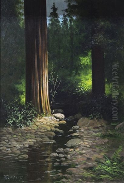 Redwood Forest Interior Oil Painting by Charles Theller Wilson