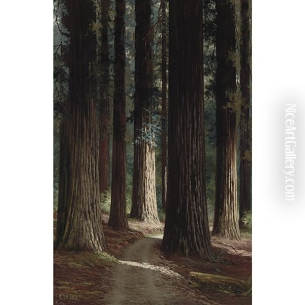 Forest Interior Oil Painting by Charles Theller Wilson