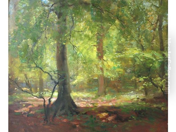 Sunlit Wood, Spring Oil Painting by Harry Mitton Wilson