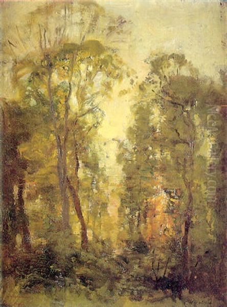 Atardecer En El Bosque Oil Painting by Harry Mitton Wilson