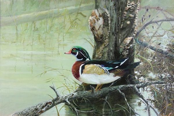 Wood Duck By A River Oil Painting by John Wilson