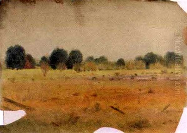 Field In Spring With Distant Trees Oil Painting by Charles Wimar