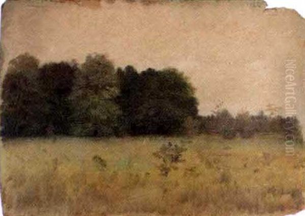 Field With Distant Tree Embankment Oil Painting by Charles Wimar