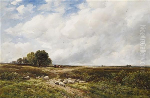 Sheep Resting In An Open Landscape Oil Painting by Edmund Morison Wimperis