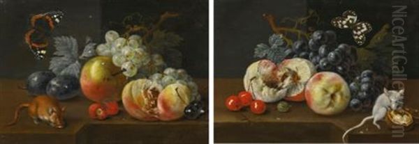 Pair Of Still Lifes With Fruits, Butterflies And Mice Oil Painting by Johann Amandus Winck