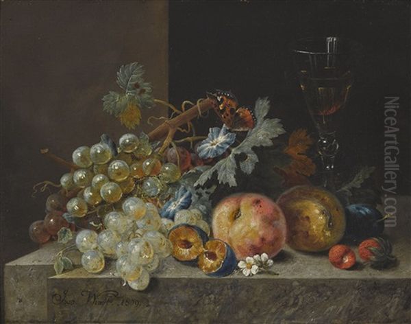 Fruchtestillleben Mit Weinglas Und Schmetterling Oil Painting by Johann Amandus Winck