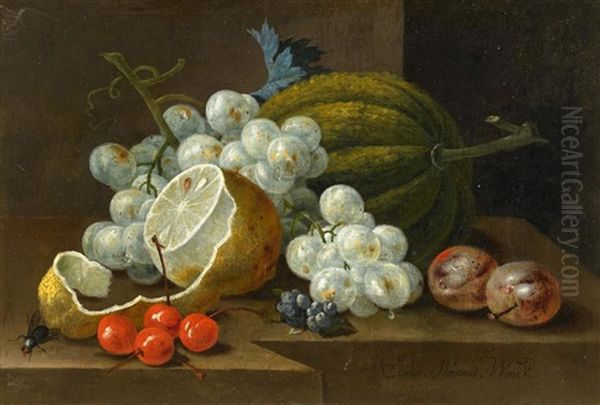 Stillleben Mit Trauben Und Zitrone Oil Painting by Johann Amandus Winck