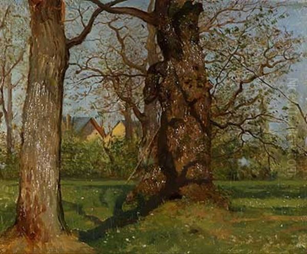 Baume Im Sommerlichen Park Oil Painting by Heinrich Winter