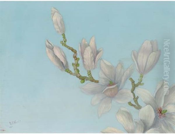 A Twig Of Magnolia by Janus de Winter