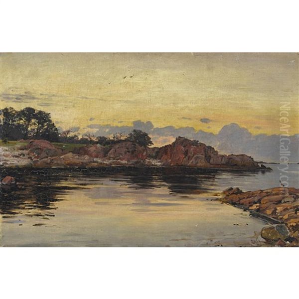 Partie Fra Svenske Kyst Oil Painting by Frederik Julius August Winther