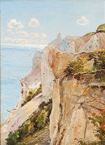 Sommerspiret At Mons Klint In Denmark Oil Painting by Frederik Julius August Winther