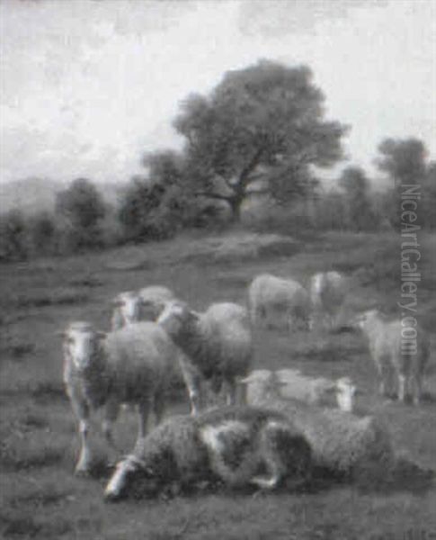 Sheep In The Pasture Oil Painting by Guillaume (Wilhelm) Wintz